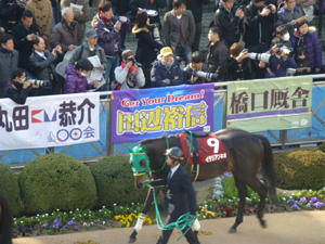 2014/03/09・2回中山4日目・11R　弥生賞（G2）　in中山競馬場・01